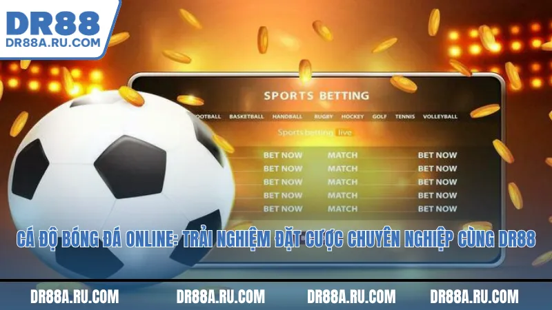 Cá độ bóng đá online: Trải nghiệm đặt cược chuyên nghiệp cùng Dr88