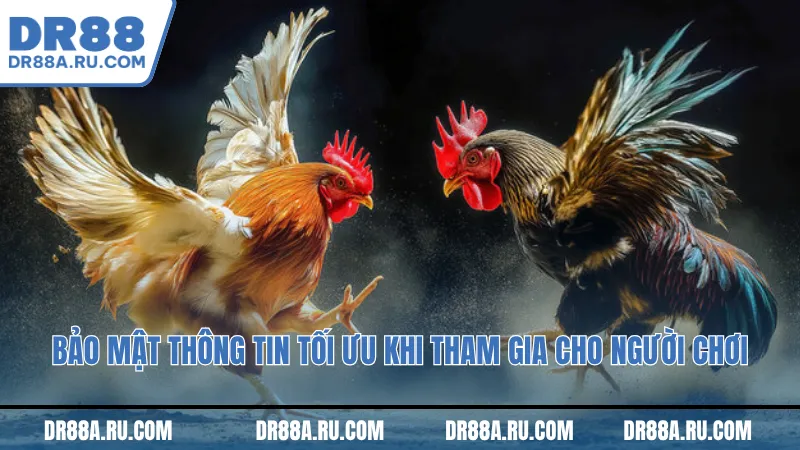 Bảo mật thông tin tối ưu khi tham gia cho người chơi