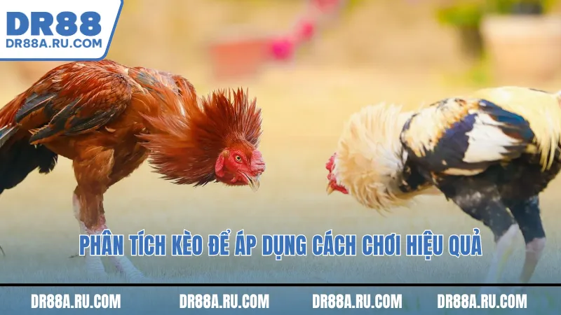 Phân tích kèo để áp dụng cách chơi hiệu quả