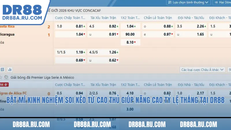 Bật mí kinh nghiệm soi kèo từ cao thủ giúp nâng cao tỷ lệ thắng tại Dr88