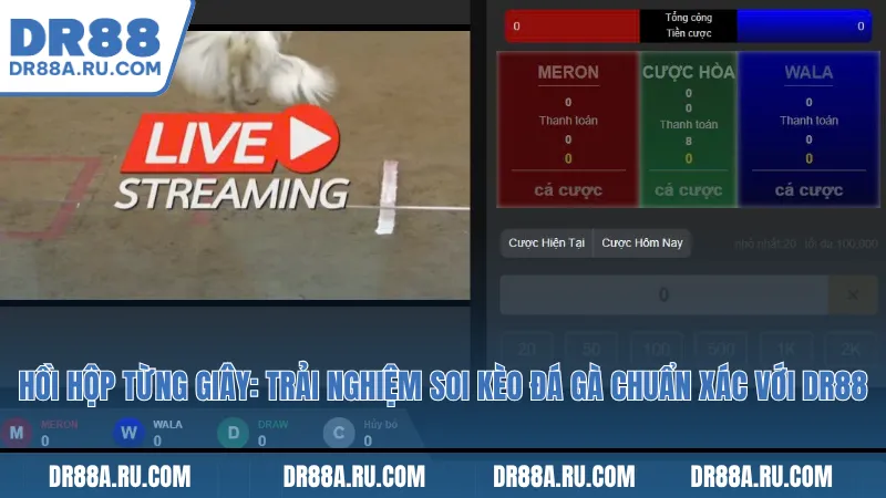 Trận đấu kịch tính: Dự đoán và soi kèo đá gà chuẩn xác ngay tại Dr88